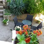Sunce * Raslina