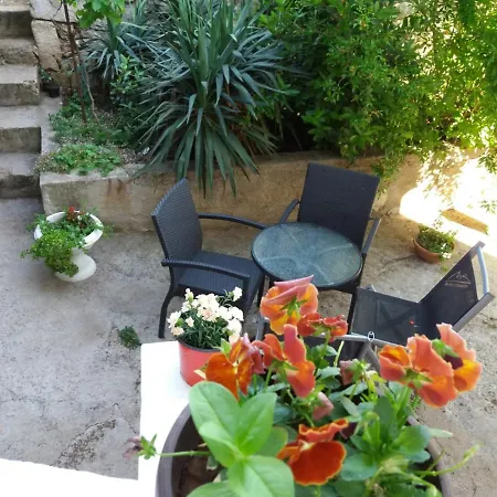 Sunce * Raslina