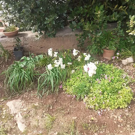 Sunce Apartman Raslina