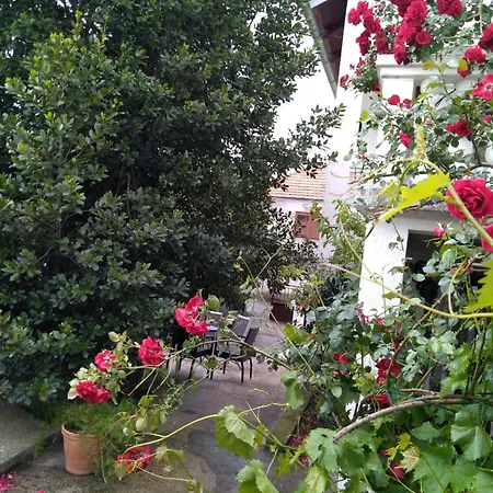 Sunce Apartman Raslina