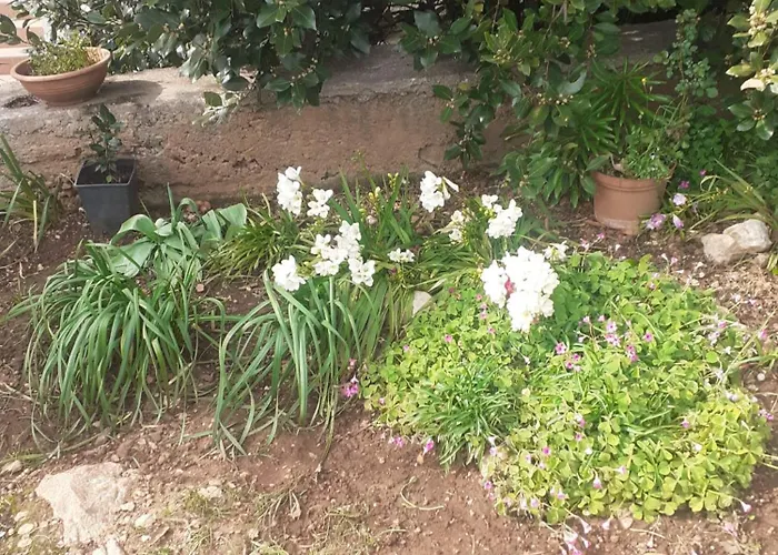 Sunce Lägenhet Raslina